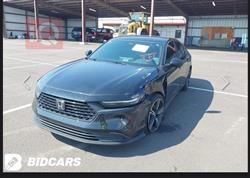 هوندا أكورد